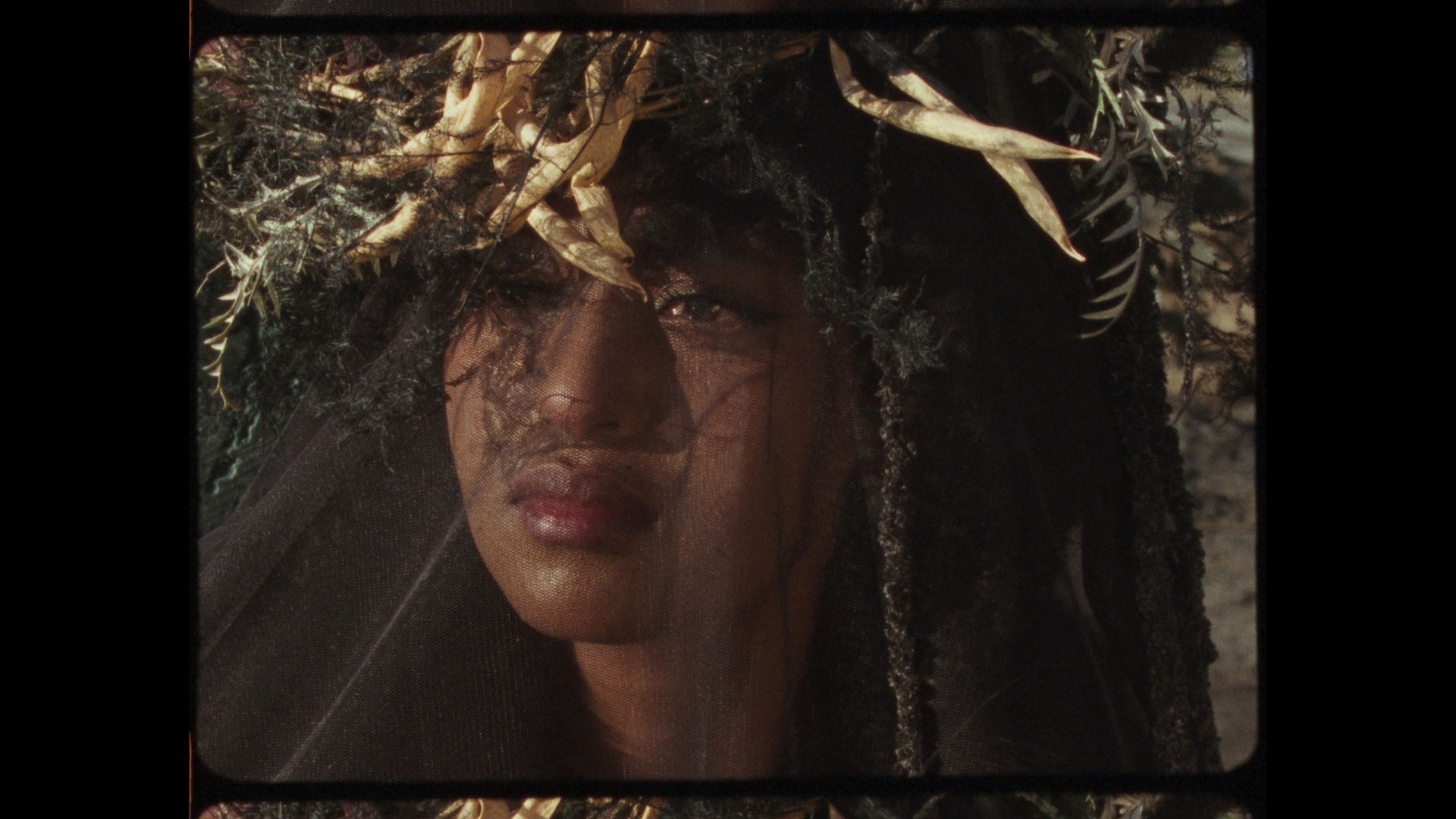 Timeline 1 01 23 16 01