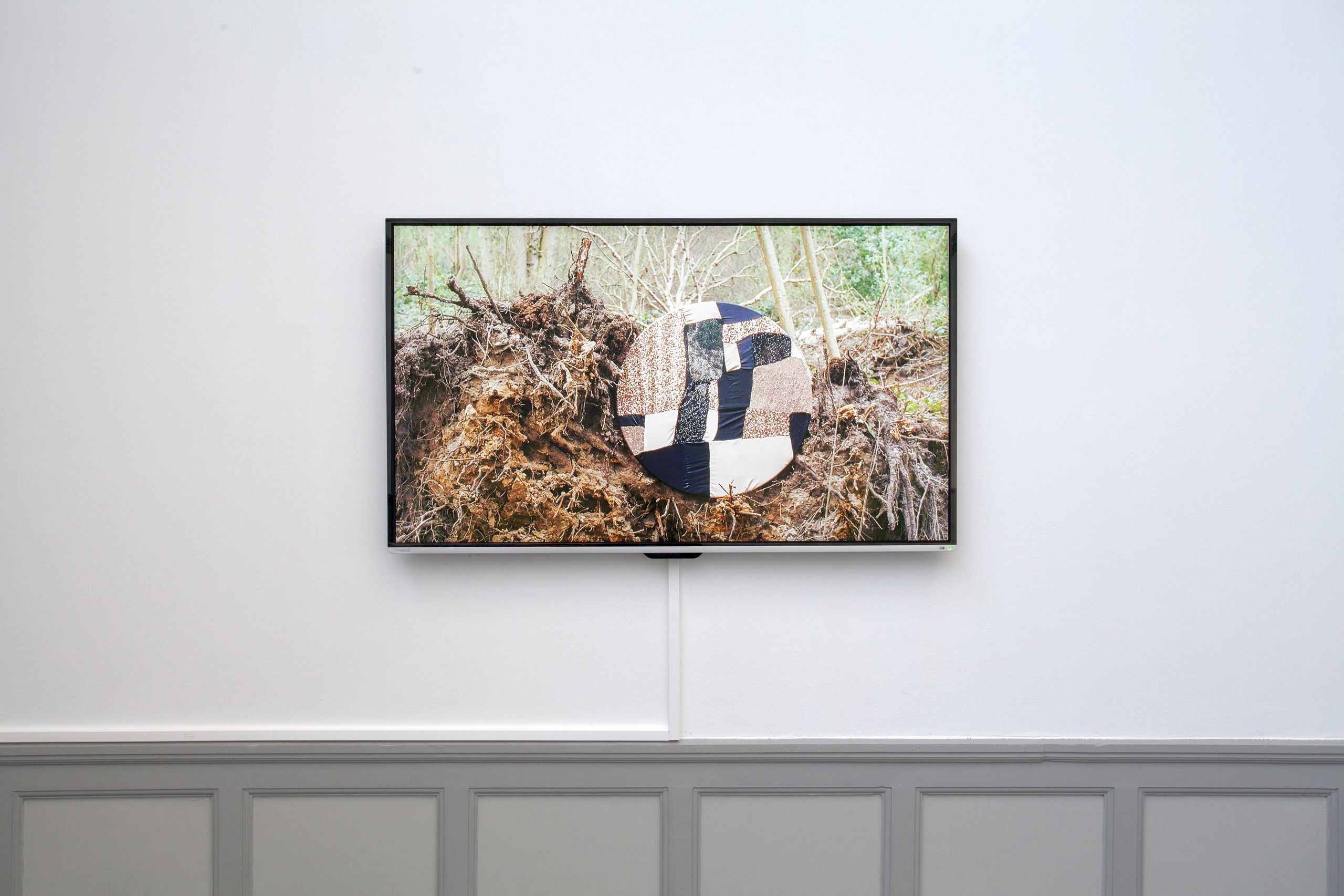 Asset630ca858dfdd16 58417570