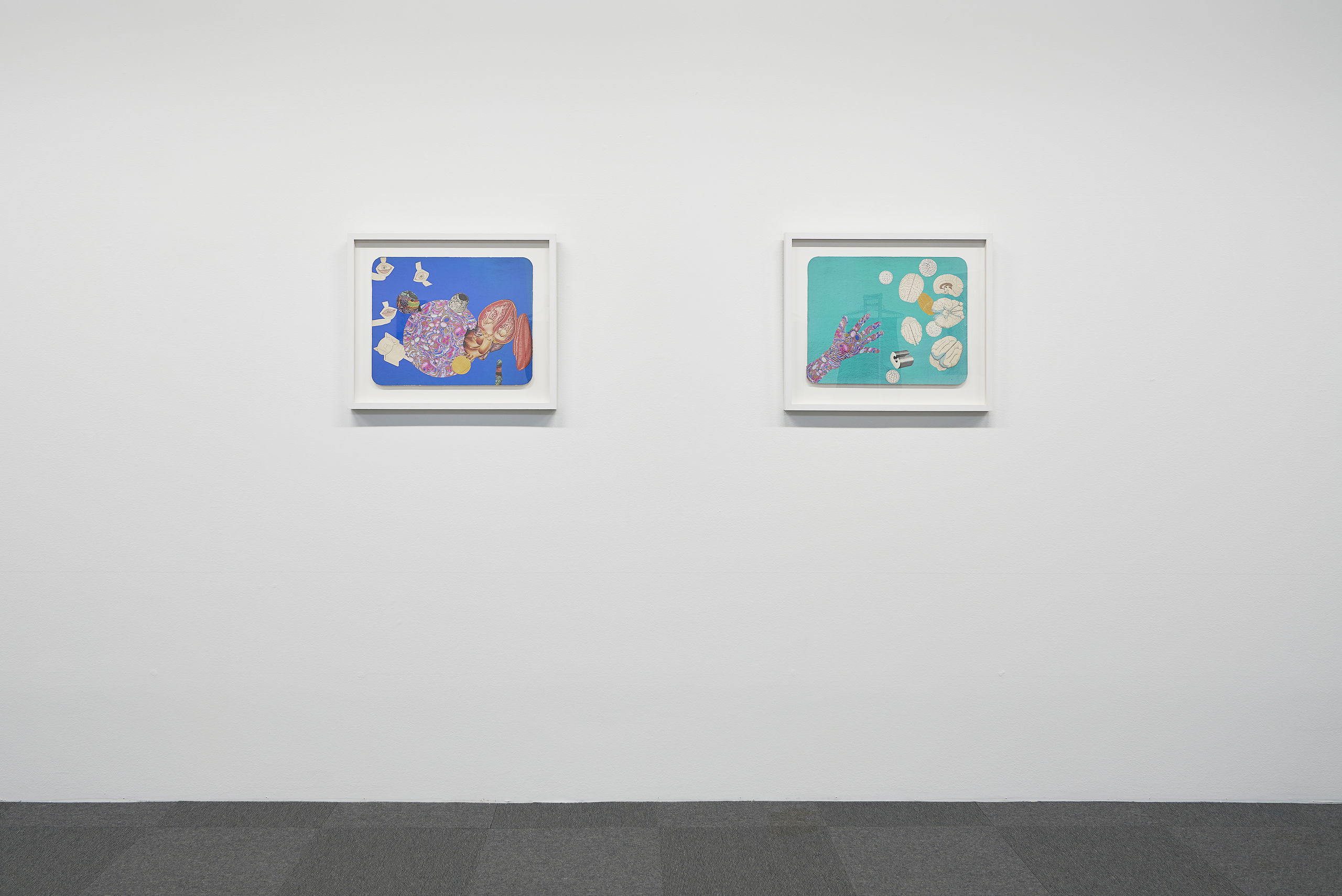 KS EX 17 02 Kiki Kogelnik 09