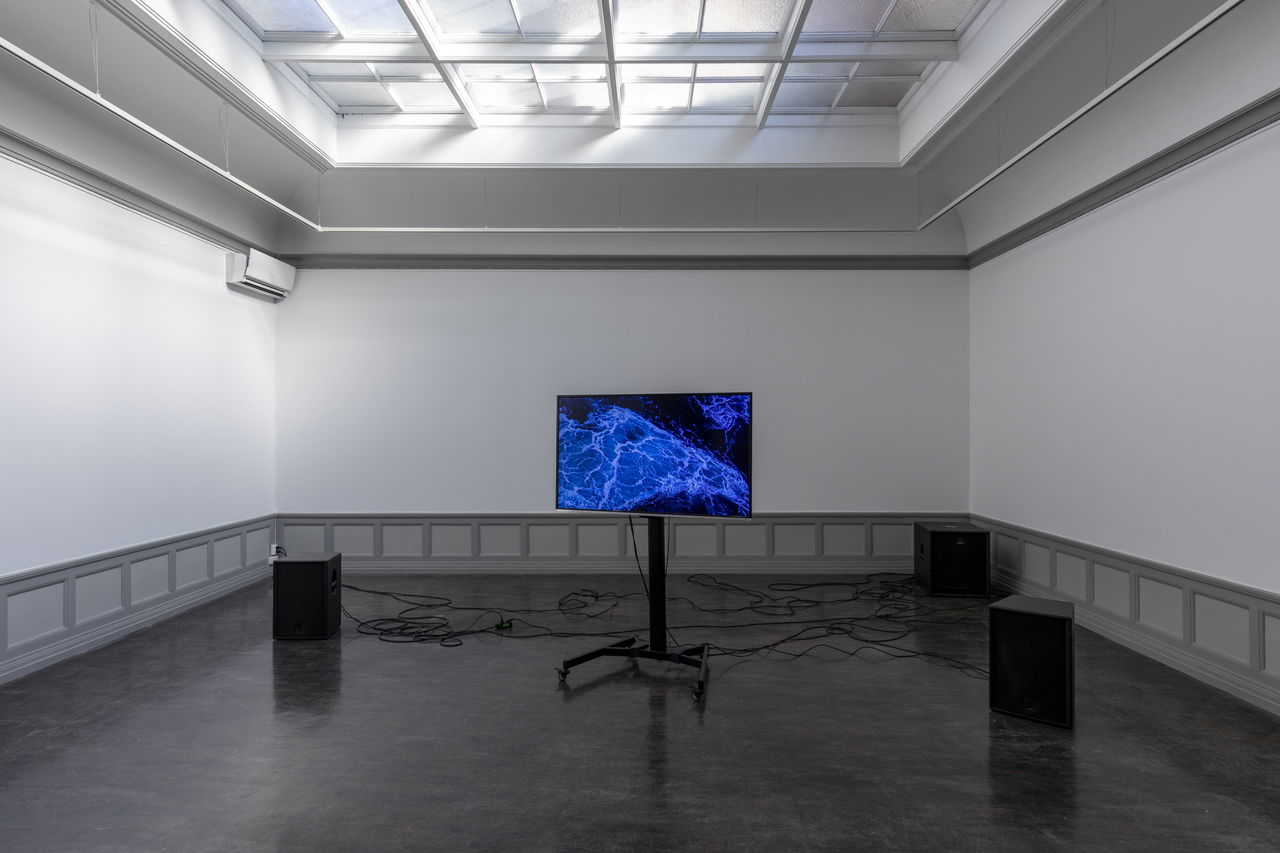 Marte Eknæs, Air Conditions (2020), installasjonsoversikt. Foto: Oddbjørn Erland Aarstad.