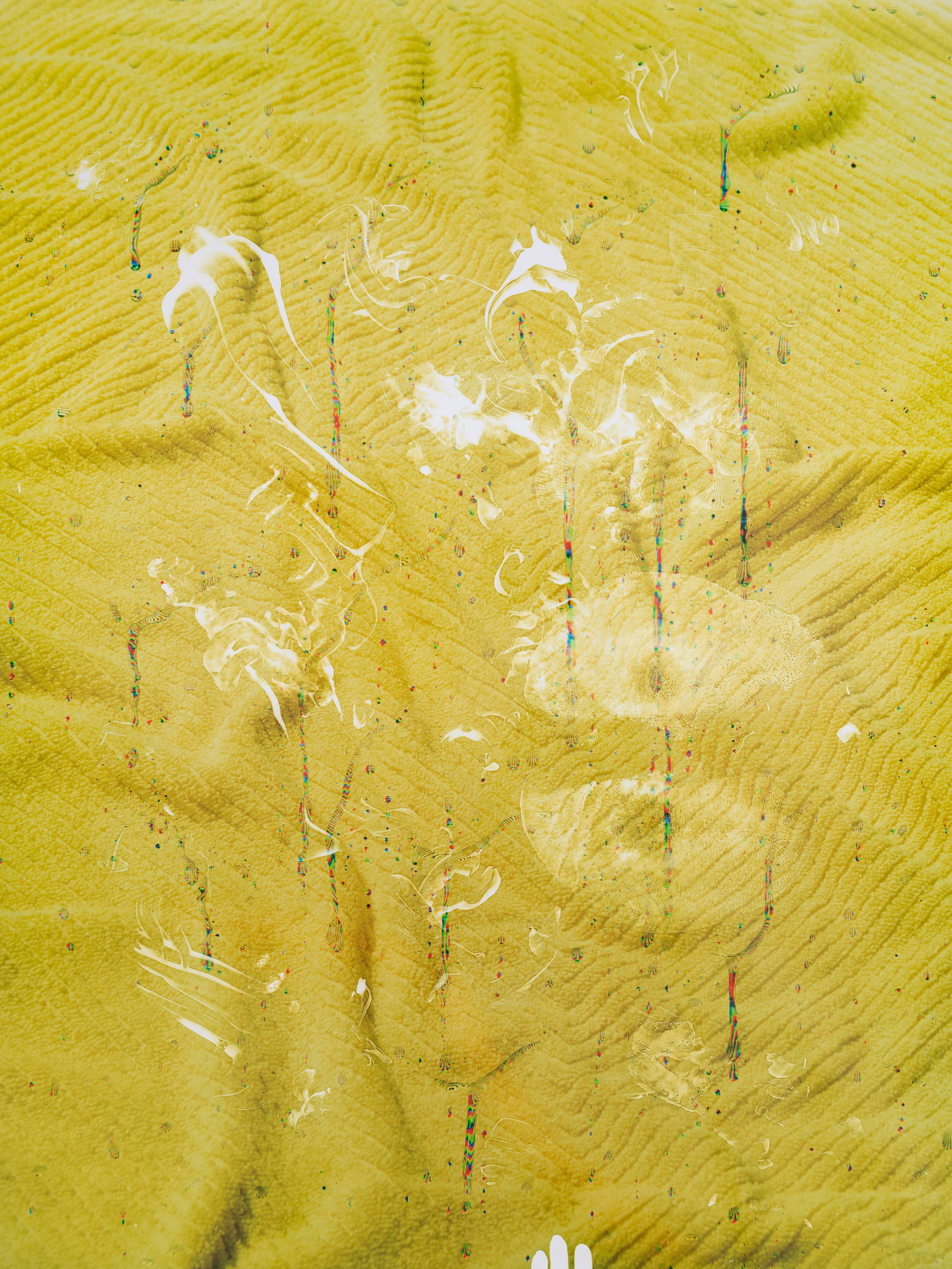 KS EX 19 01 Sandra Vaka 01 WEB