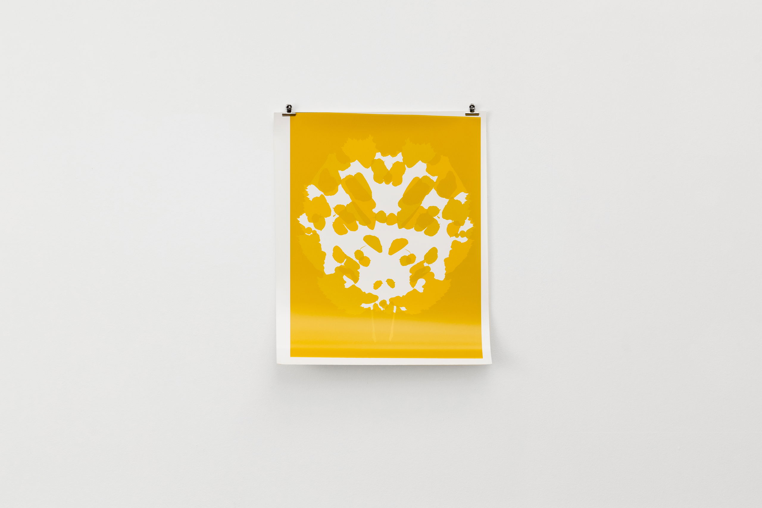 Asset6307701ab14e77 30323880