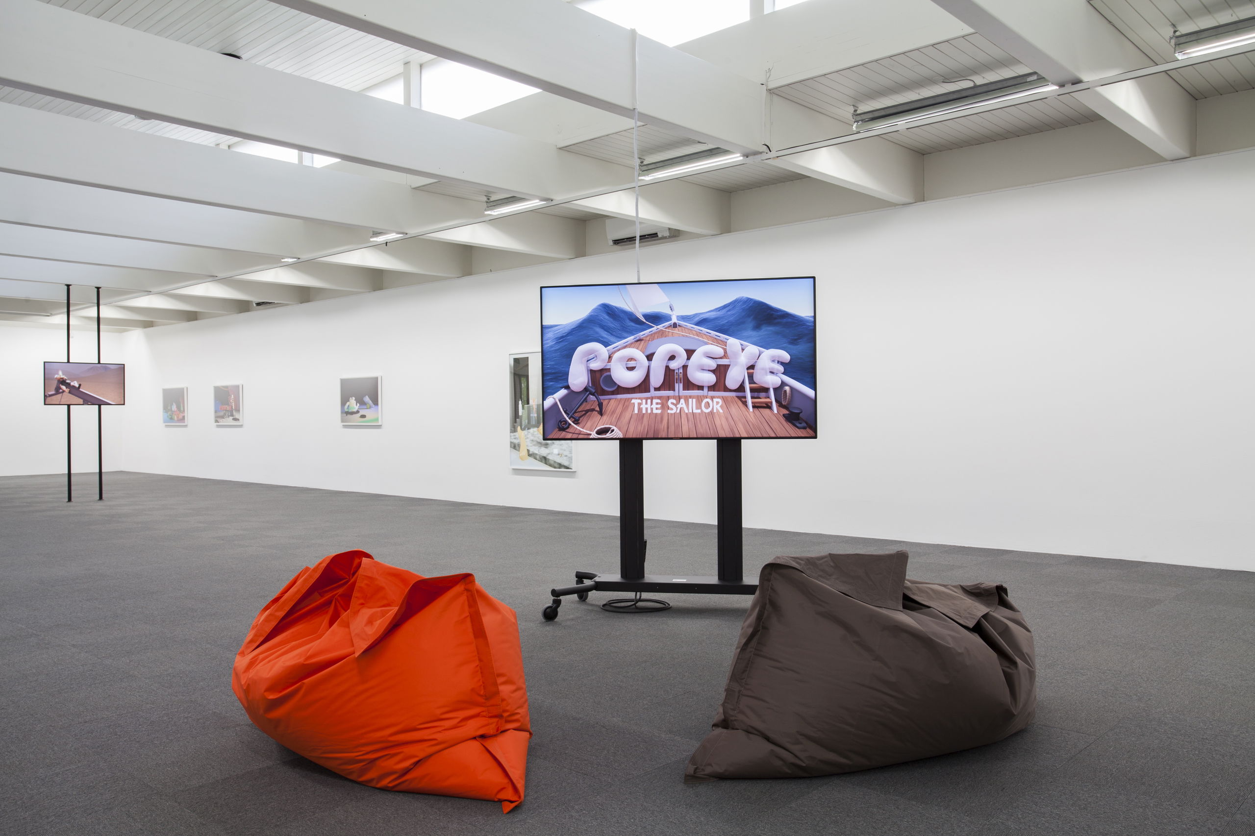 Asset63298974213f88 13521104