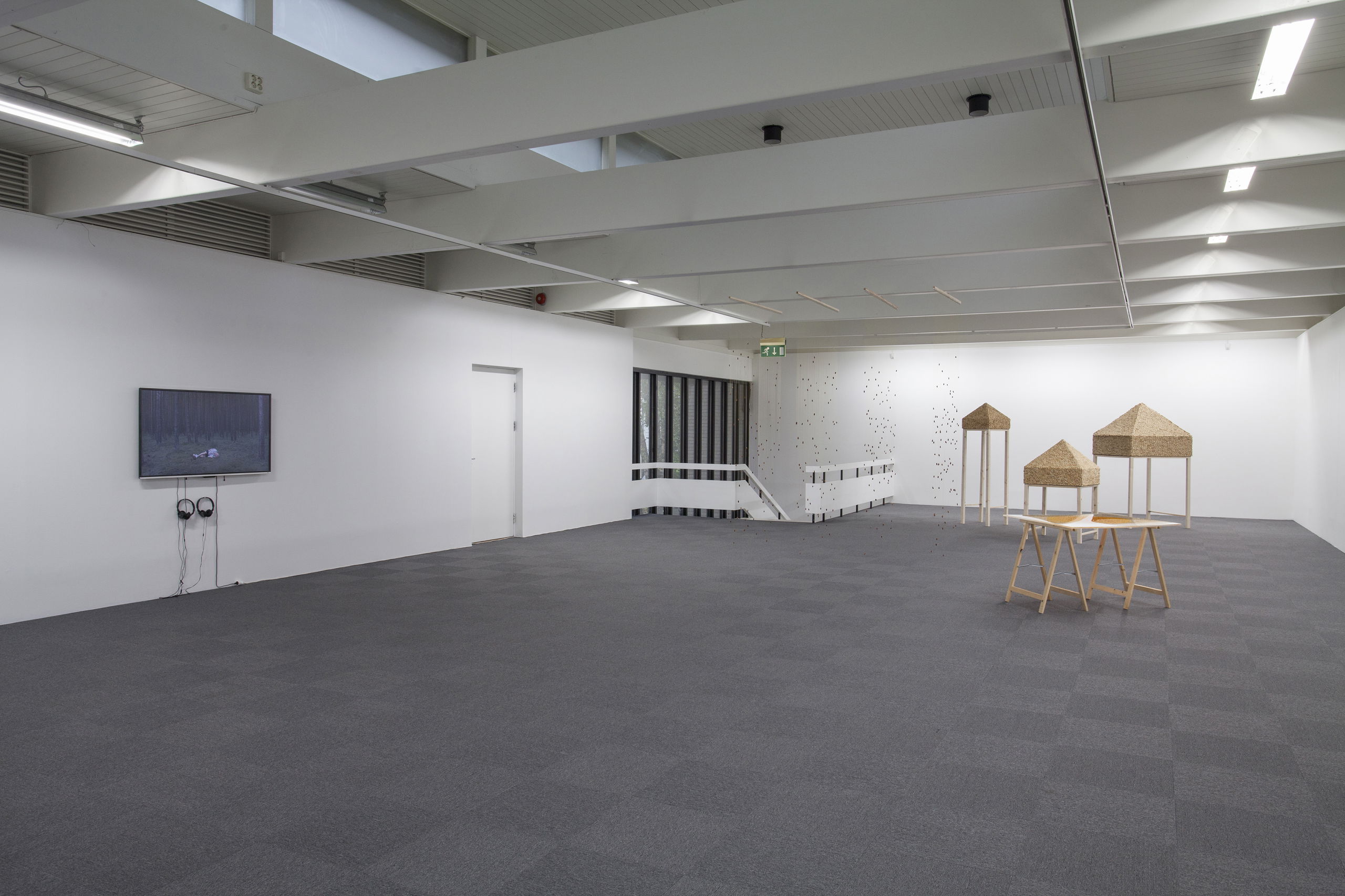 Asset6322e331b18482 79943275