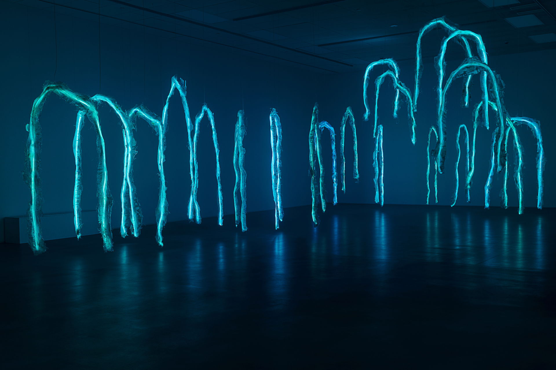 Asset63c51a0ab8dc62 69680522