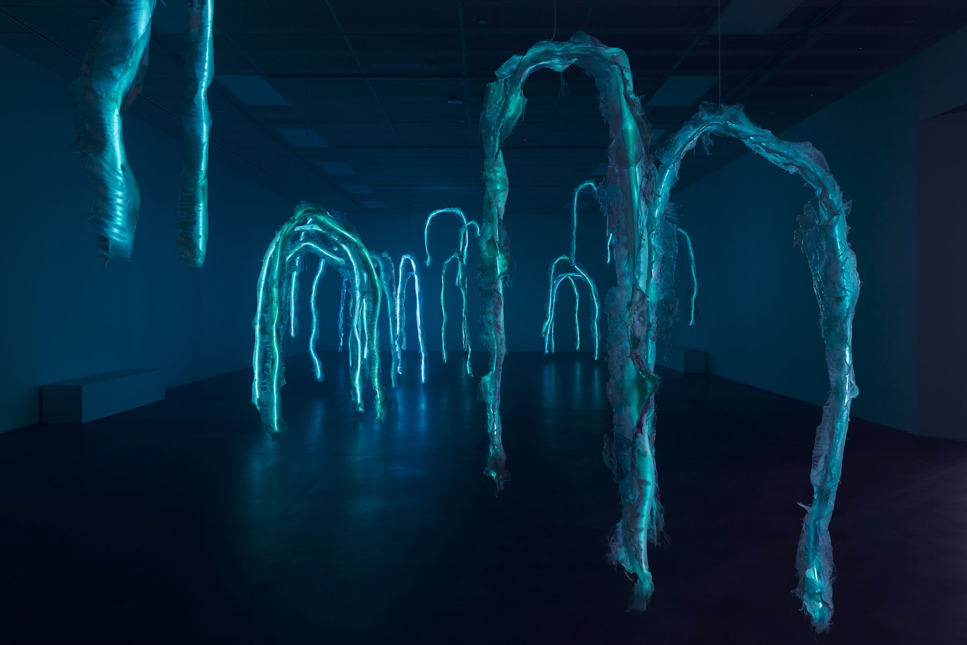 Asset63c51a0e3fac32 48165570