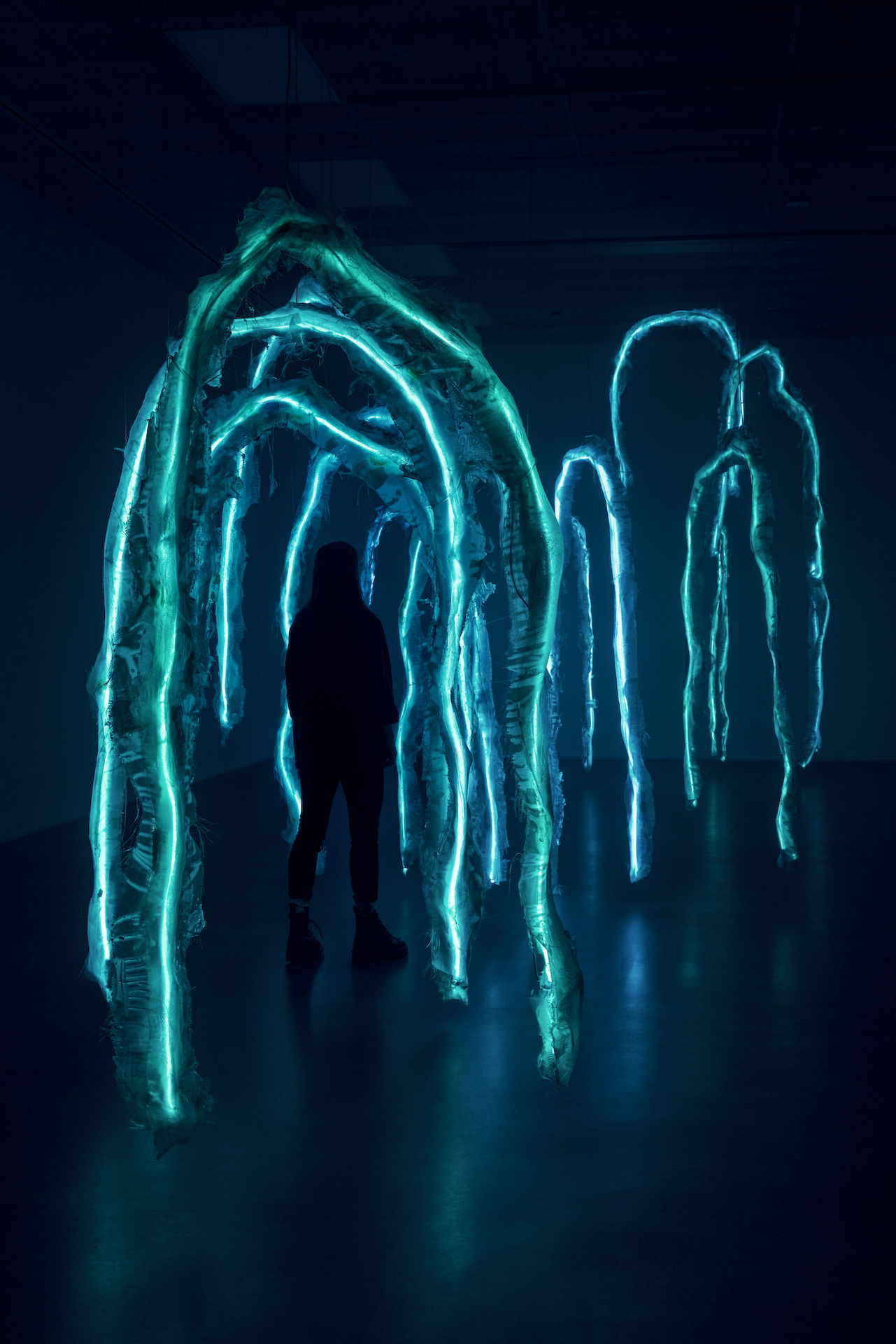 Asset63c51a12008683 43600496