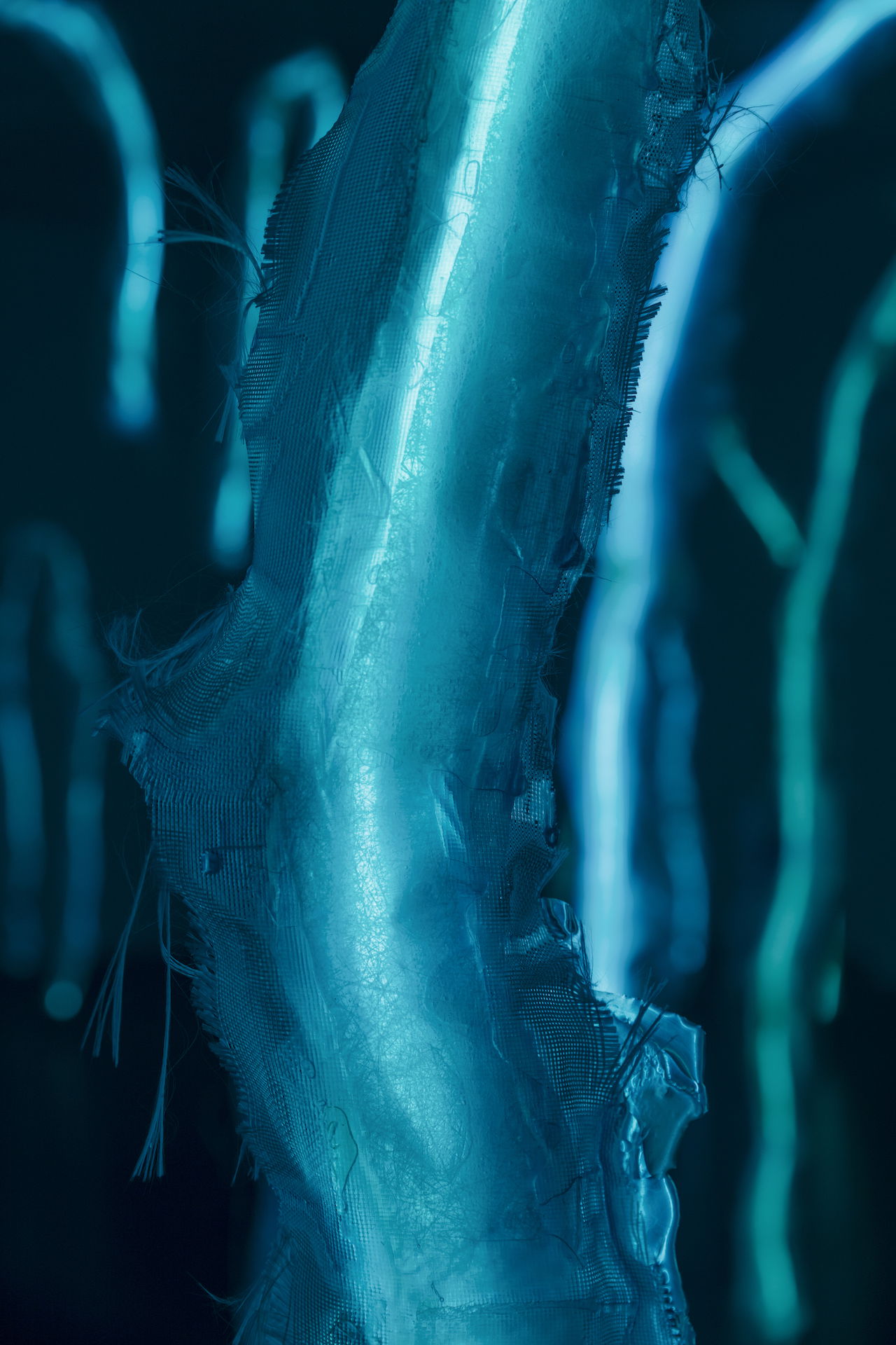 Asset63c51a21dc64d3 64743991