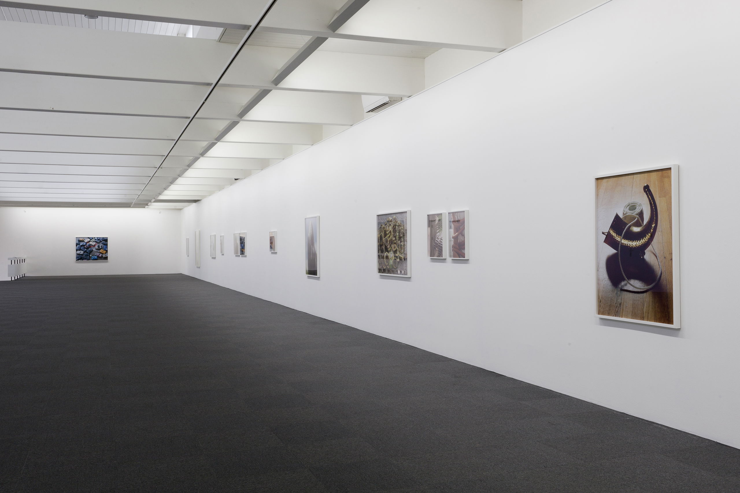 Asset6334351692c354 69465955