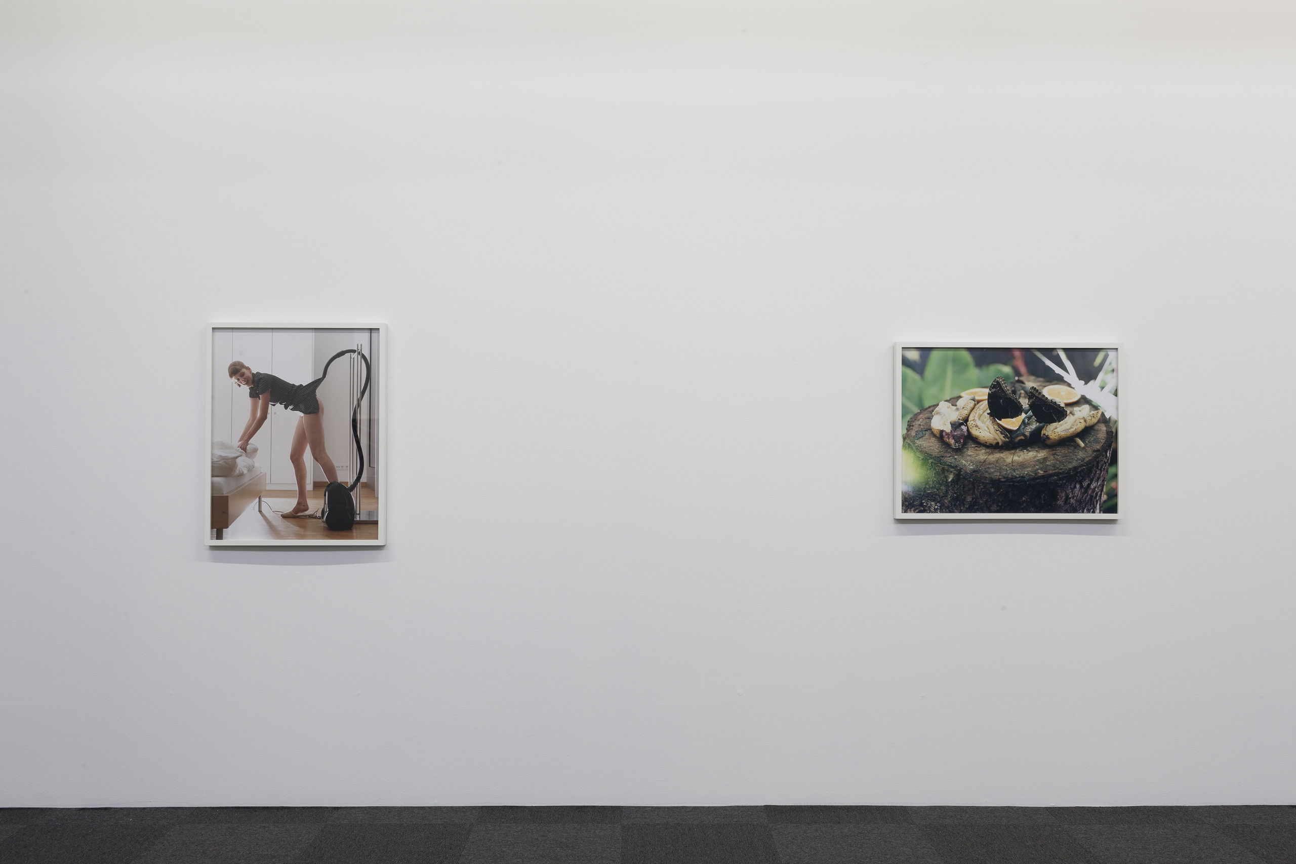 Asset63343542eb0775 23428595