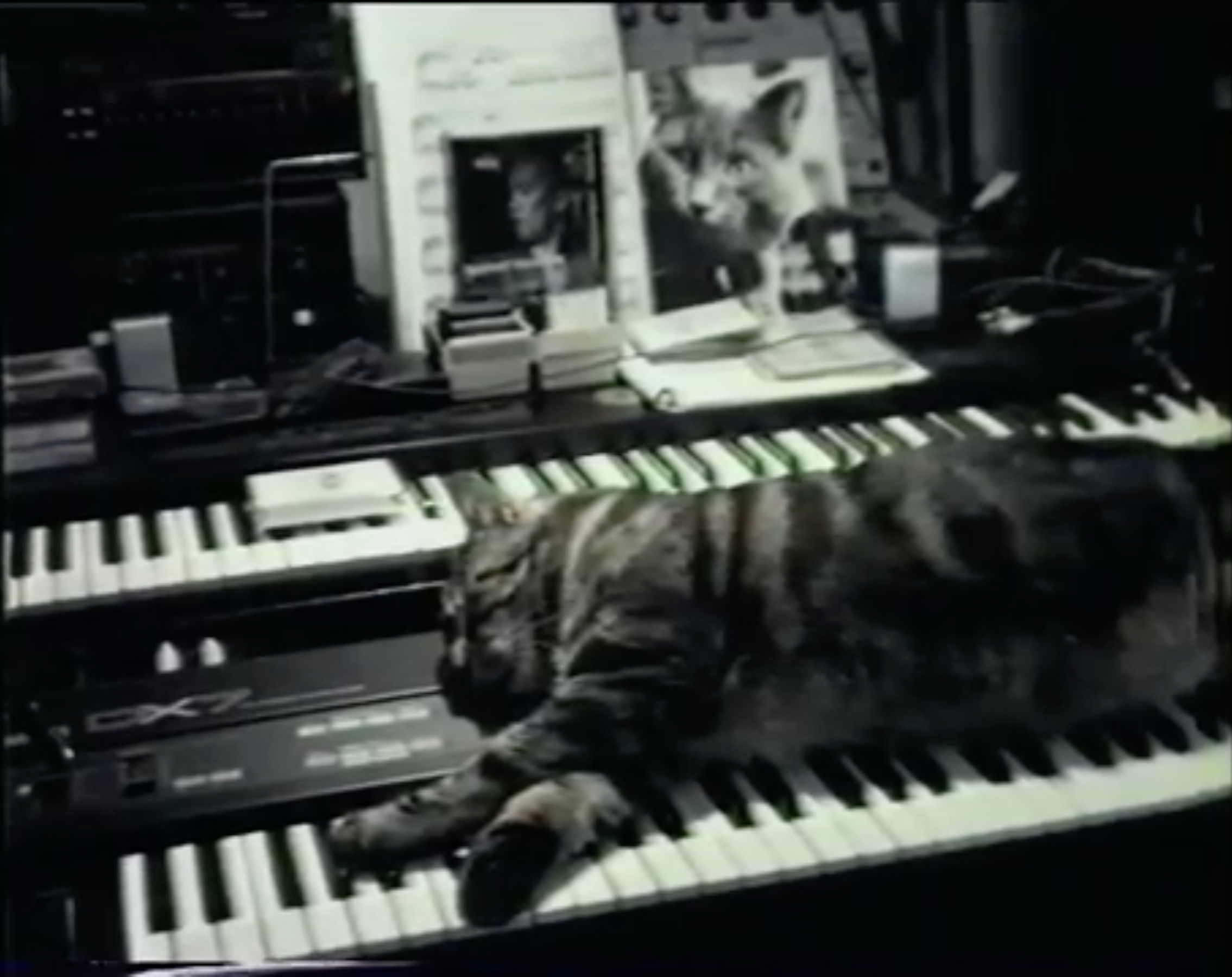 KS PR VAFK 19 01 Chris Marker 01