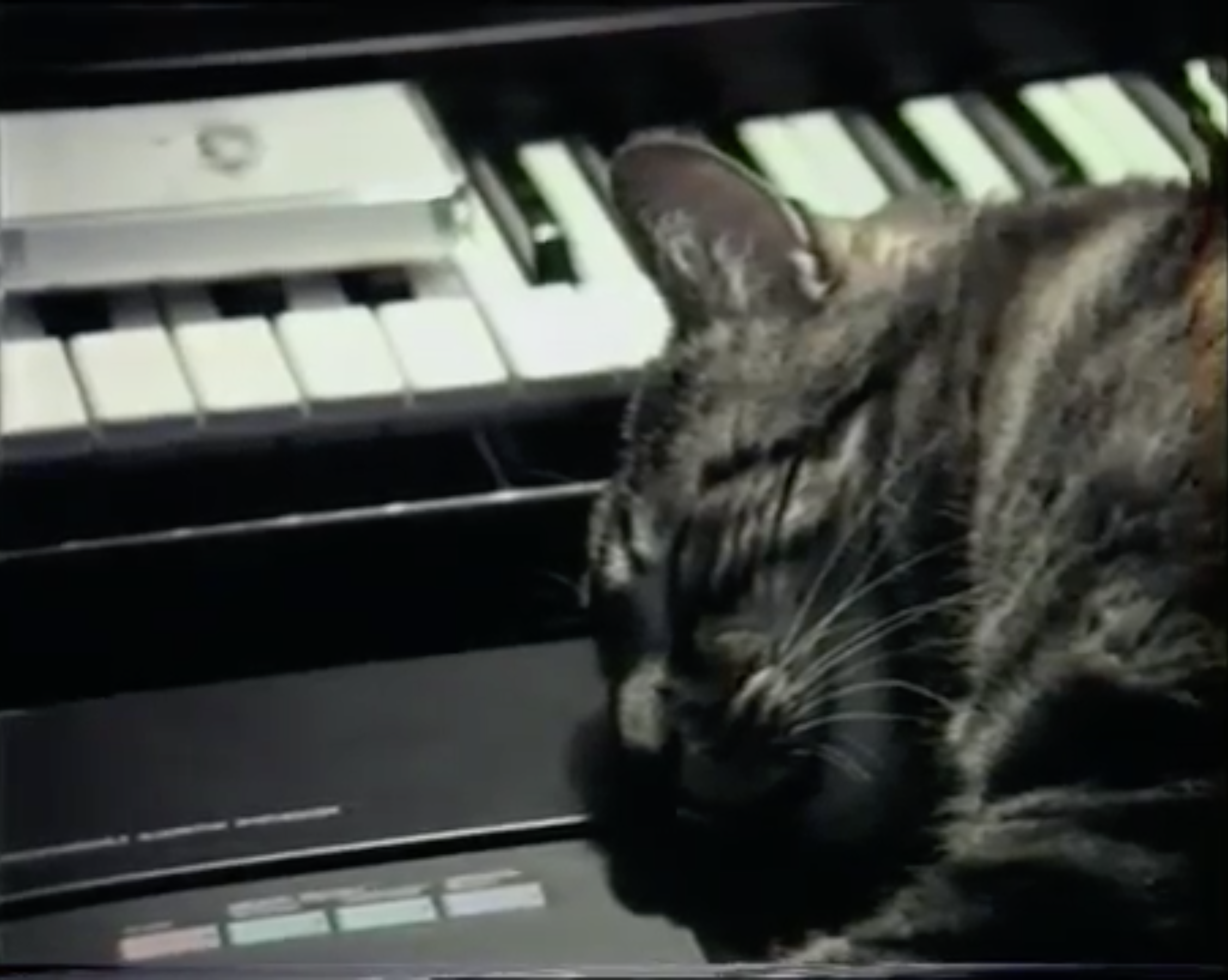 KS PR VAFK 19 01 Chris Marker 02