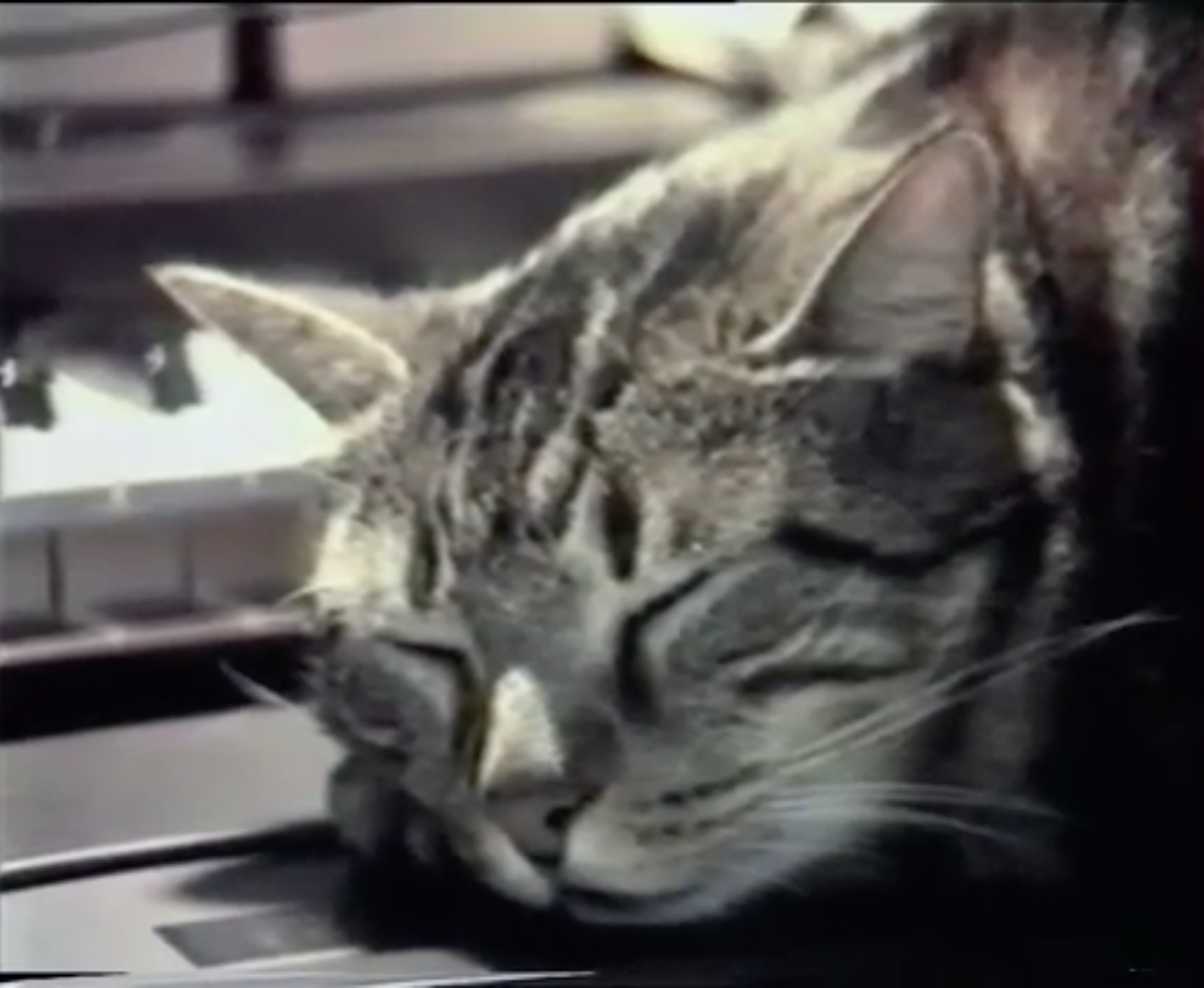 KS PR VAFK 19 01 Chris Marker 03