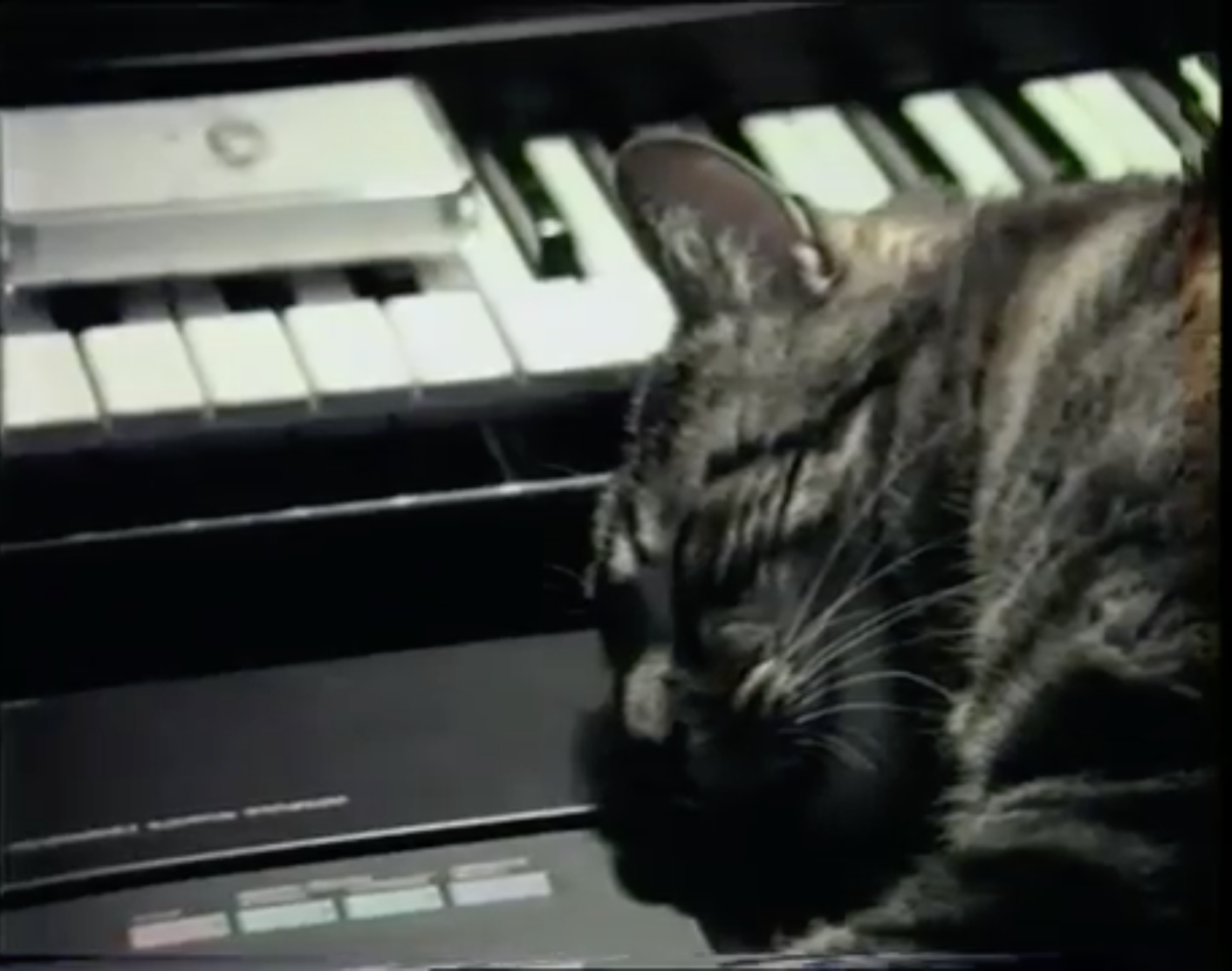 KS PR VAFK 19 01 Chris Marker 04